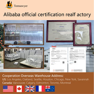 Chaises pliantes légères pour <span class=keywords><strong>location</strong></span> en extérieur, fête, <span class=keywords><strong>mariage</strong></span>, Wimbledon, en plastique blanc, en résine, pour événements - Product Image 4