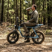 VTT électrique tout-terrain à couple élevé avec frein à disque hydraulique, vélo de montagne électrique à pneus larges pour l'aventure sur sentier