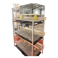 Cage à Poulets de Chair Galvanisée à Froid en H à Trois Niveaux, Meilleure Vente, pour Ferme et Usage Domestique