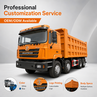 Nouveau Camion Benne Fiable Shacman F3000 6x4 Euro 3 avec Volant à Gauche, Boîte FAST, 371 CV, Capacité 50T, Caméra pour Projets de Terrassement
