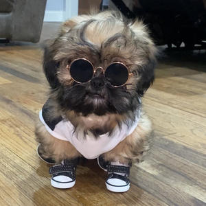 2025 prix de gros chaussures d'hiver imperméables pour chiens avec semelles antidérapantes-<span class=keywords><strong>Protection</strong></span> contre la <span class=keywords><strong>neige</strong></span>/glace pour <span class=keywords><strong>pattes</strong></span> en toile bleue denim - Product Image 4