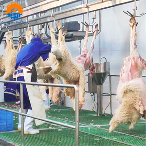Ligne d'abattage de moutons halal clé en main, solution complète pour l'abattage de chèvres, équipement de transformation d'abattoir, machinerie d'abattage automatique - Product Image 3