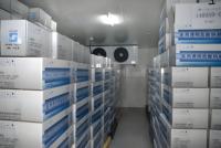 Chambre froide compacte sur mesure à économie d'énergie avec contrôle automatique Copeland et panneau solaire pour aliments, fruits, légumes, viande