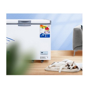 Congélateur coffre à double porte en acier inoxydable de haute qualité avec condenseur interne pour les usines de transformation des légumes - Product Image 3