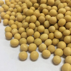 Protein cao Trung Quốc gốc Vàng đậu nành cho thực phẩm lành mạnh - Product Image 4