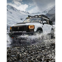 Calandre avant noire de style cascade avec moustiquaire, compatible avec les accessoires GWM Haval Raptor H7/V7 version essence