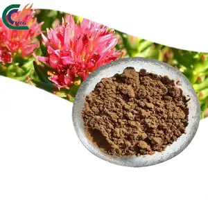 Atacado Rhodiola Rosea Extrato em pó 5% Salidroside Pó Rhodiola Rosea Extrato Raiz