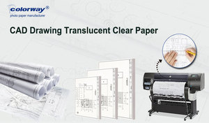 Colorway התאמה אישית באיכות טובה גודל גליל 80 גרם נייר נייר נייר plotter - Product Image 3