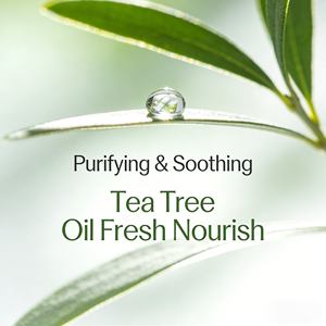 Champú Purificante <span class=keywords><strong>para</strong></span> Cuero Cabelludo Graso y Sensible con Aceite de Árbol de Té, Anti-Picazón, Limpieza Profunda y Refrescante - Product Image 2