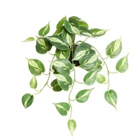 Ensemble de plantes vertes artificielles Pothos en pot, simulation 3D, fleurs en plastique pour la maison, salon, table basse, accessoires de photographie de mariage