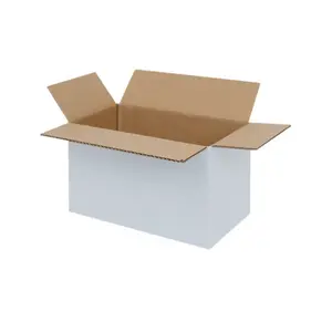 carton 400x300x300mm  color white  secondary packaging  recyclable  product customization + custom logo possible