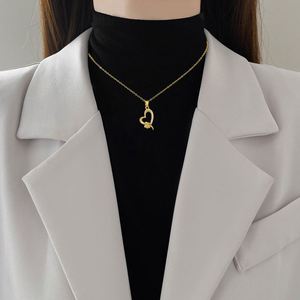 Collar de Acero Inoxidable con Micro Pavé de Circonitas, Colgante de Corazón Indio de Moda, Chapado en Oro, para Mujer - Product Image 6