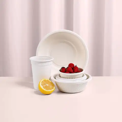 Square Disposable Plates For Wedding Reception Environmentally Friendly