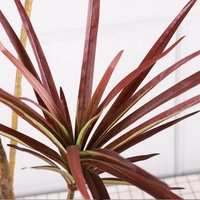Plante artificielle Faux Dracaena Marginata, arbre bonsaï en pot pour mariage, mur, maison, chambre, patio, intérieur, extérieur, décoration de la maison