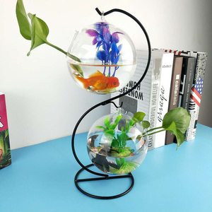 <span class=keywords><strong>Boule</strong></span> suspendue en <span class=keywords><strong>verre</strong></span> pour plantes aquatiques, mini sphère, aquarium avec support en fer, décoration - Product Image 2