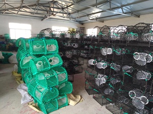 Chuyên Nghiệp Chất Lượng Tốt Nhất Cua Tôm Hùm Bẫy - Product Image 6