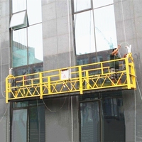 Plateforme Suspendue ZLP 800/630, Vente en Gros Usine à Prix Imbattable