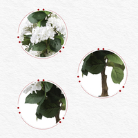Künstlicher Weißer Hortensienbaum Kunstpflanze für Heimdekoration Hochzeits-Blumenarrangements Innendekoration