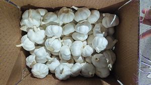 Ajo Chino Fresco, Nueva Cosecha, 4.5cm - 6.5cm, Cartón, Ajo Blanco Puro, Grado Alimenticio, 1 Año de Duración, Certificado - Product Image 2