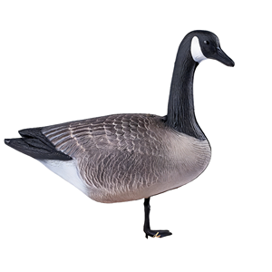 Señuelo <span class=keywords><strong>de</strong></span> Ganso Canadiense Realista Personalizado <span class=keywords><strong>de</strong></span> Fábrica, Señuelo <span class=keywords><strong>de</strong></span> Caza <span class=keywords><strong>de</strong></span> Aves Acuáticas, Material EVA, Señuelo <span class=keywords><strong>de</strong></span> Aves Realista para Caza al Aire Libre - Product Image 1