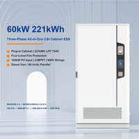 Système de batterie solaire tout-en-un triphasé 60 kW 221 kWh LiFePO4 704 V BMS CAN IP54 pour stockage commercial et industriel