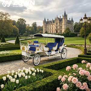 Carro Eléctrico Turístico Estilo Carruaje de Caballos con Interior Personalizado para Transporte en Ciudades Históricas, Parques Temáticos y Resorts - Product Image 1