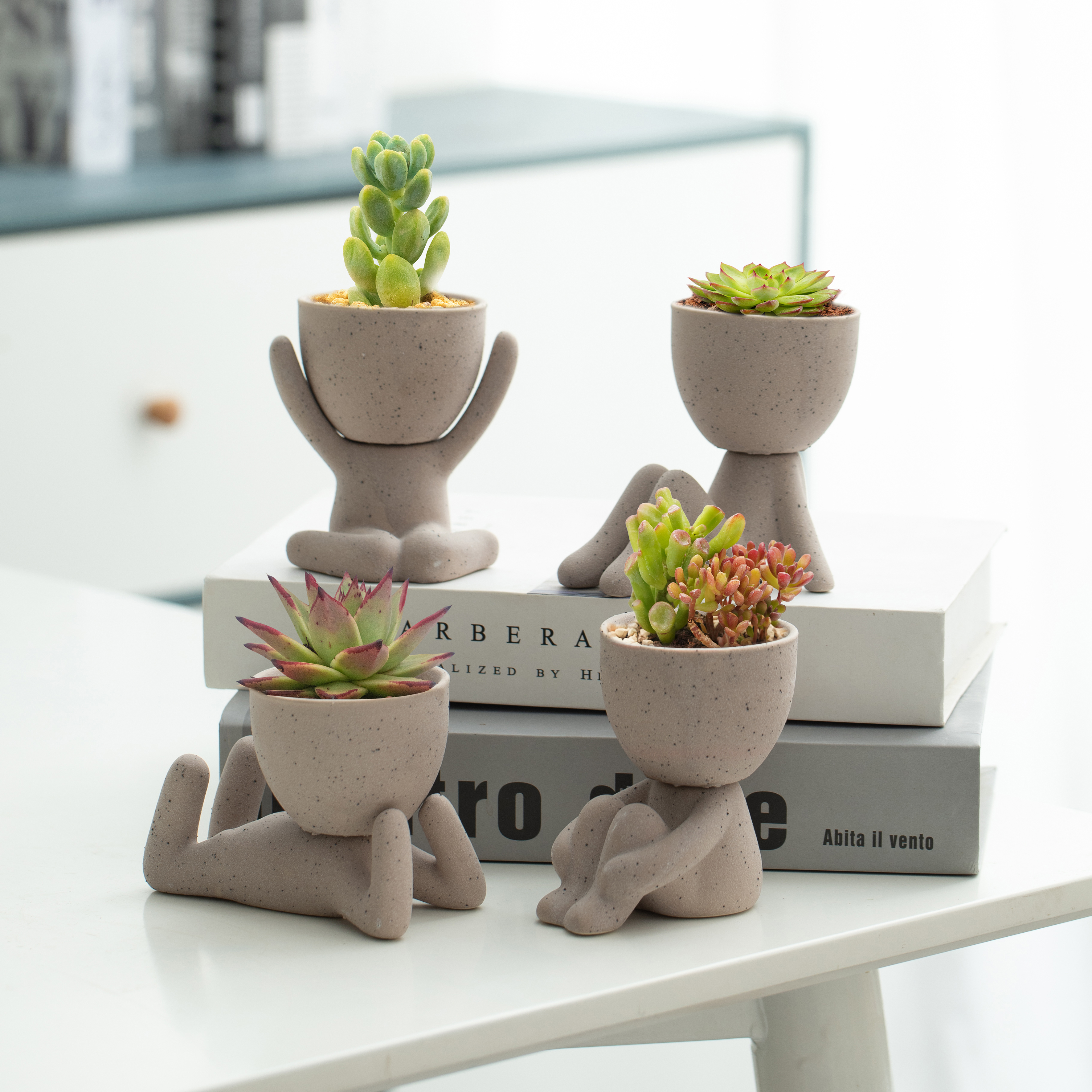 Vasi e fioriere da giardino per interni all'aperto di vendita caldi piccoli Mini vasi di ceramica succulente vasi di ceramica