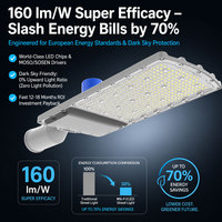 Lampu Jalan LED Urban dengan Soket Fotocell Bersertifikasi NEMA, Dilengkapi Waterpas, Siap untuk Kota Pintar di Amerika Utara, Bersertifikasi ETL DLC FCC