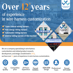 Faisceau de câbles de commande industriel universel personnalisé pour moto automobile pour appareil ménager électronique - Product Image 5