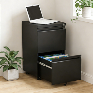Armoire de classement mobile en acier à 2 tiroirs verrouillables avec roulettes, design peu encombrant pour le rangement à domicile et au bureau - Product Image 5