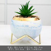 Pot de plantes succulentes de jardin créatif Mini céramique Cactus plante Pots de fleurs support en métal motif Faux marbre décoration de sol de bureau
