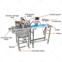 Machine à enrober les petits biscuits, les gâteaux et les barres chocolatées