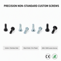 Vis de micro-précision non standard JinLi sur mesure (0,02-0,1 mm) avec service OEM/ODM et MOQ flexible (Modèle LS006)