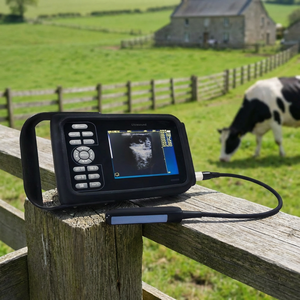 Máquina de Ultrasonido Veterinaria al Precio Más Bajo, Escáner de Ultrasonido Portátil en Blanco y Negro <span class=keywords><strong>2D</strong></span> para Veterinaria - Product Image 1