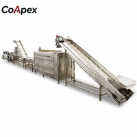 Machine à frites entièrement automatique certifiée CE, en acier inoxydable 304 de qualité alimentaire, capacité de 100-200 kg/h, solution clé en main pour