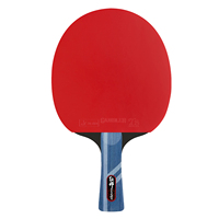 Raquette de tennis de table de niveau professionnel avec logo personnalisé avec étui