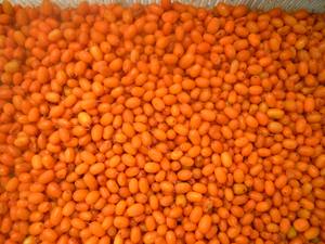 Sinocharm HACCP prix de gros IQF baies fruits congelés argousier pour boisson - Product Image 4