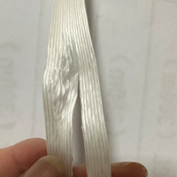 Usine 9mm bande thermofusible matériau PET collé résistant à l'eau personnalisable largeur épaisseur manuel emballage sangle Standard