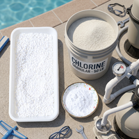 E20260807 Granulés de qualité supérieure à dissolution progressive pour piscines commerciales