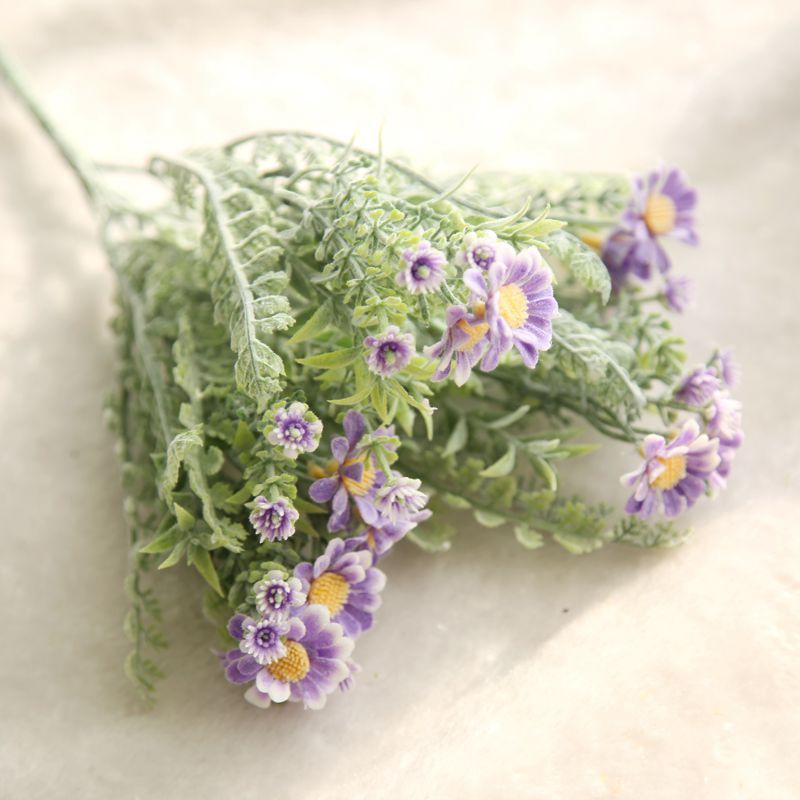 Pourpre