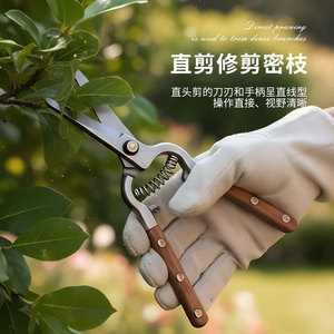Tijeras de podar de alta calidad 6165 de acero al carbono con cabeza recta para árboles frutales, recorte de flores y herramientas de jardinería - Product Image 4
