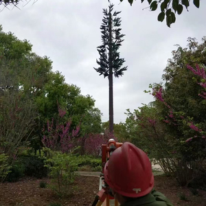 Viễn thông cây thông mast không dây Wifi nhúng nóng thép mạ kẽm tùy chỉnh màu sắc 15m-200m tháp ngoài trời - Product Image 5