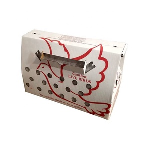 Caja de envío con ventilación para palomas, pollo, aves - Product Image 5