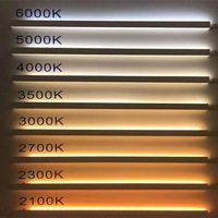 Bande lumineuse LED 2835 haute luminosité 5M 600 LED non étanche IP20 120 LED/m blanc froid pour extérieur avec télécommande