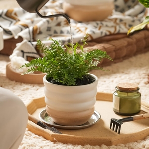 Macetas <span class=keywords><strong>comprar</strong></span> creativo personalizado al por mayor contenedor esmaltado cerámica Cactus <span class=keywords><strong>plantas</strong></span> <span class=keywords><strong>suculentas</strong></span> macetas y jardineras para la venta decoración del hogar - Product Image 4