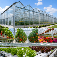 Serre Agricole Complète : Systèmes de Culture Verticale pour Jardin Domestique en Tour