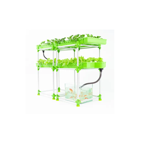 Conjunto de sistema acuapónico de dos capas de marca Popular, invernaderos agrícolas grandes versátiles, doble capa, tecnología verde versátil - Product Image 2