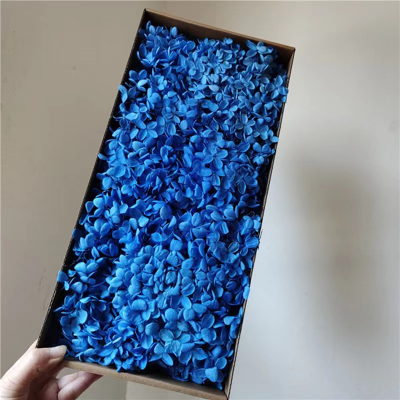 Blu scuro