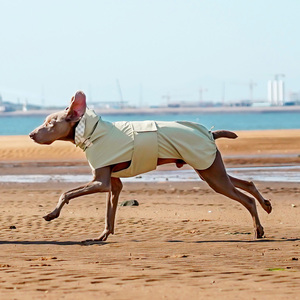 Chaqueta <span class=keywords><strong>Impermeable</strong></span> para Mascotas, Estilo Nuevo, Cómoda, Deportiva, con Diseños Elegantes para Perros, Chaleco de Lujo para Dachshunds - Product Image 2