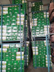 Nueva cosecha de ajo fresco chino blanco Normal/ajo blanco puro Alho Ajo Ail suministro con precio al por mayor de ajo - Product Image 5